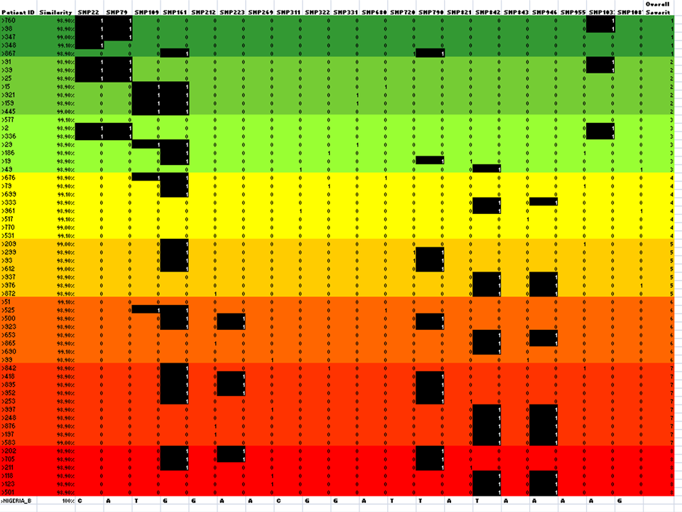 Excel