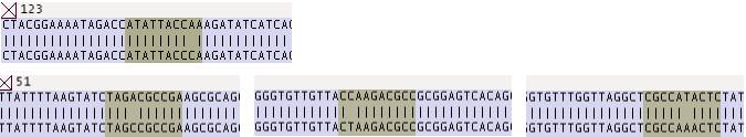 Figure4.bmp