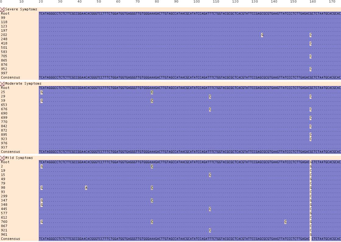Figure5.bmp