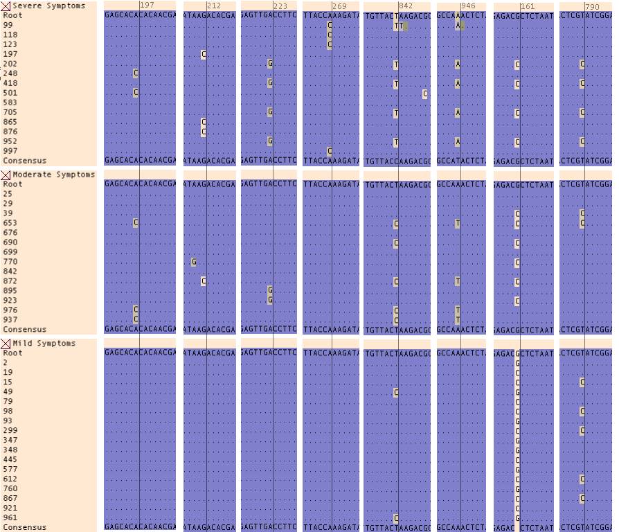 Figure6.bmp