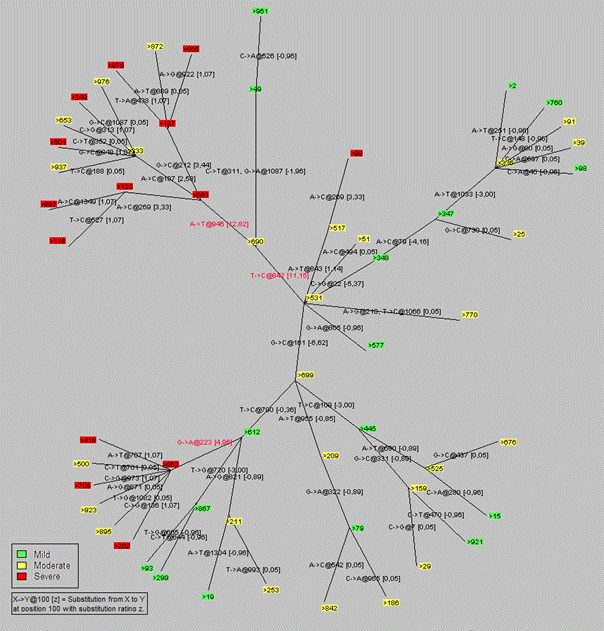 phylotree1.png