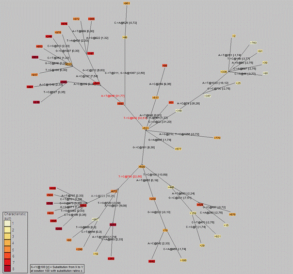 phylotree2.png