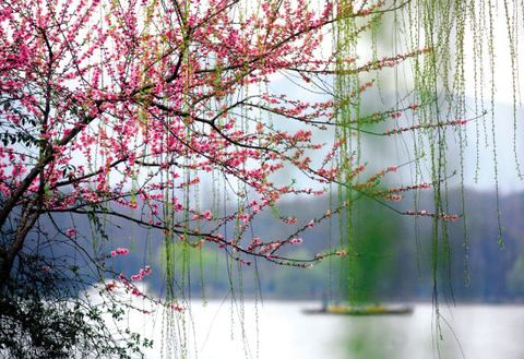 photo_springRain
