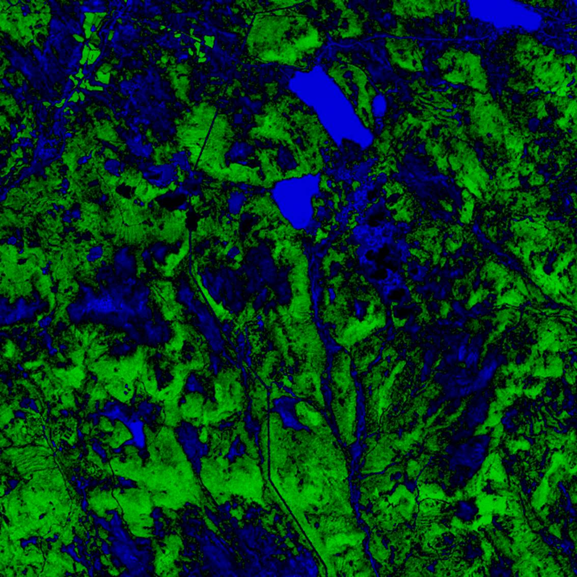 Contrast_Stretch/NDVI_contrast_stretch/image11_2016_09_06_NDVI.png